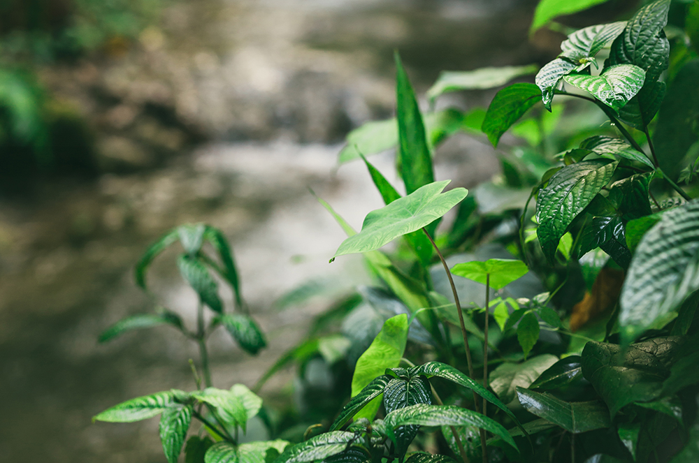 login/register image